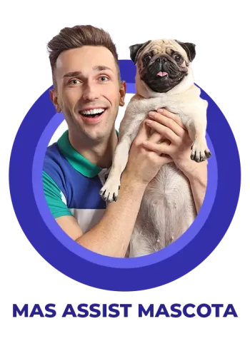 ban_mas1 ban_mas1